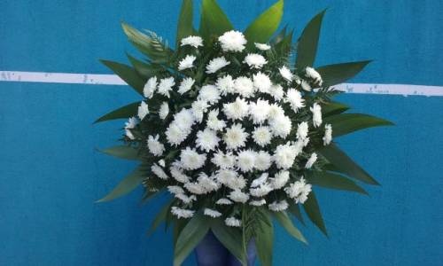 CORBÉLIA REDONDA PEQUENA DE CRISANTEMO 