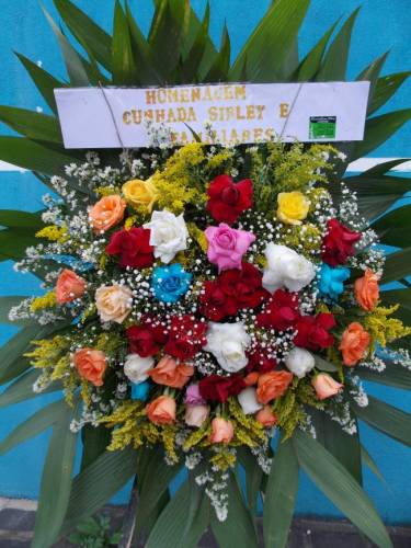 CORBÉLIA REDONDA DE ROSAS COLORIDAS 